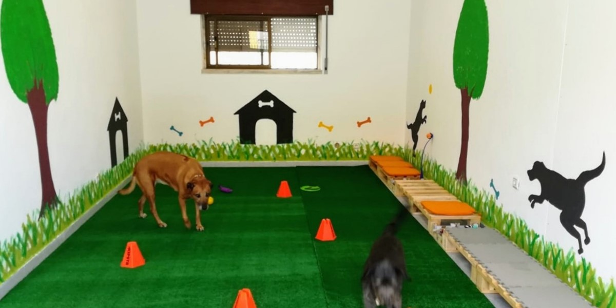 Creche para cães