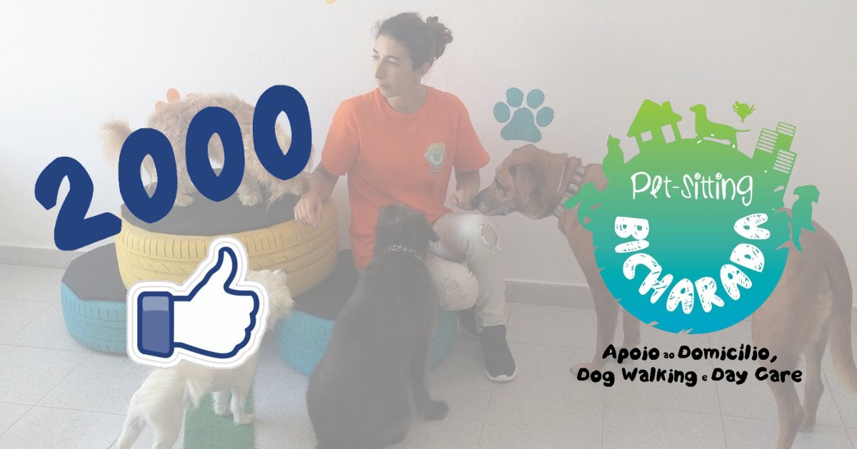 2000 likes no Facebook