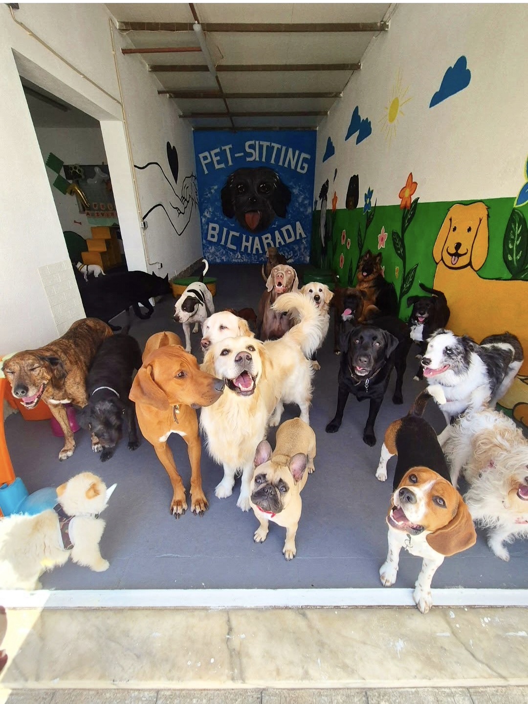 Socialização